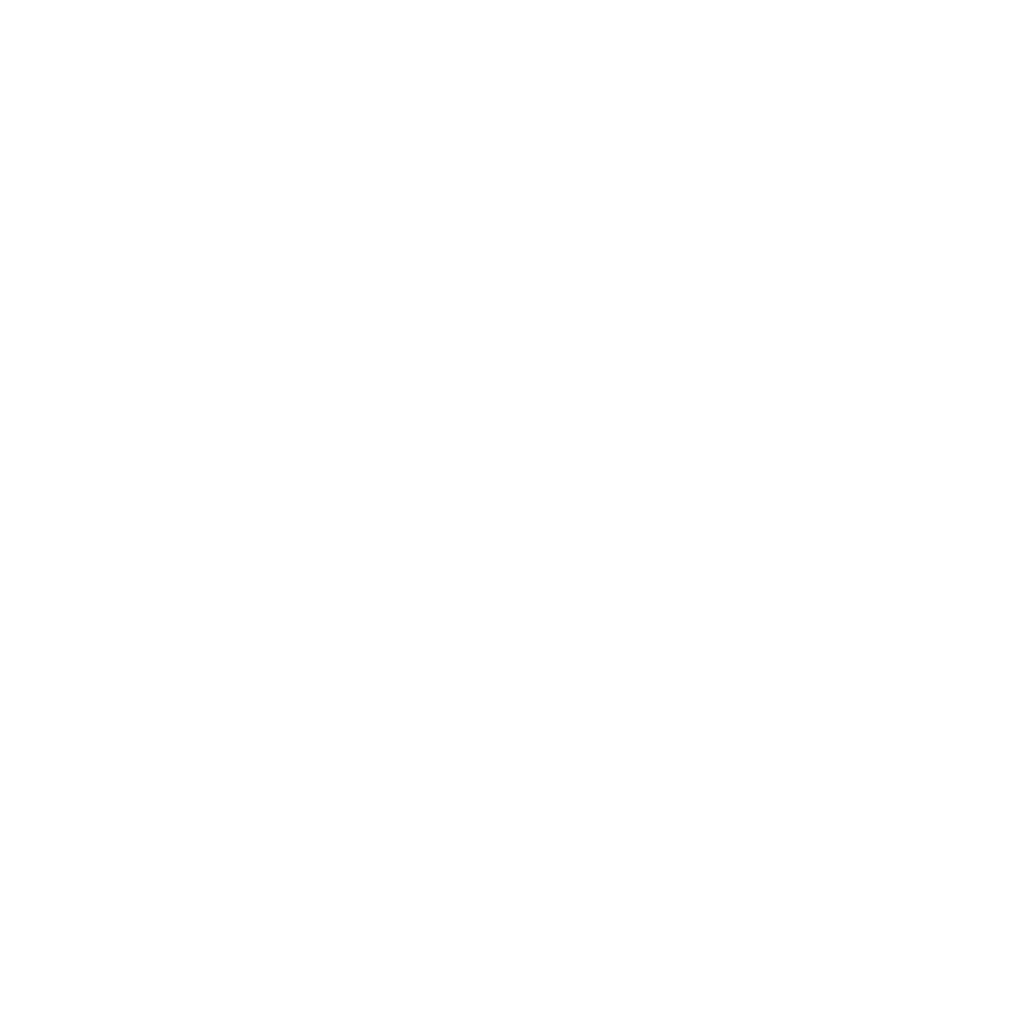 Granola_Geneva